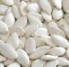 snow-white-pumpkin-seed