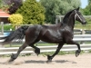 Friesian Horse Black Mare To Adopt - wbetter3